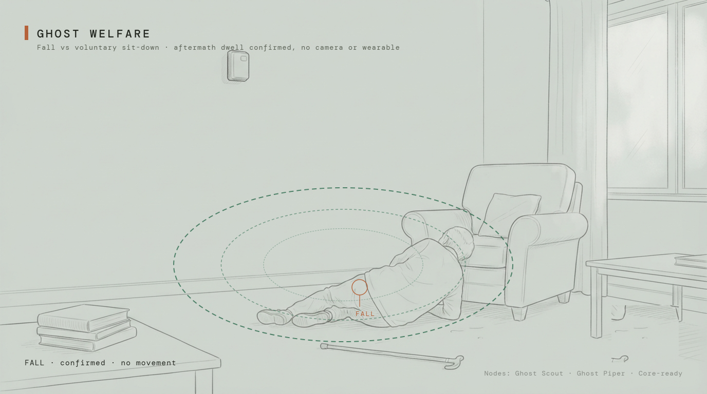 Ghost Welfare proof frame (schematic illustration)